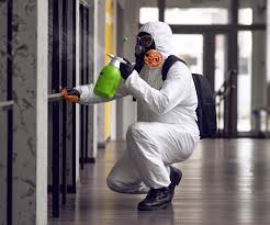 Best Basement Mold Removal  in Pomeroy, WA